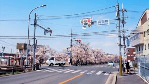 大和高田市・市役所通り「高田橋交差点」自動車送迎・交通アクセス・車で5分（御所市・五條市方面）2025-64