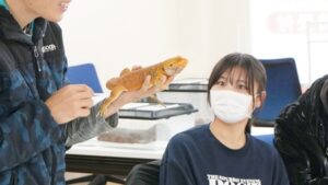 出張講義・出前授業「神戸動植物環境専門学校」動物ふれあい体験2026-18