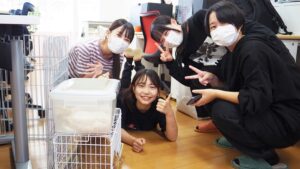 動植物環境専門学校「国家資格・愛玩動物看護師」説明会2024-222