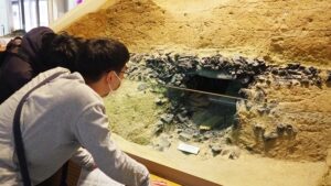 日本古代史・考古学フィールドワーク「古事記編纂者・太安萬侶墓」銅製の墓誌・橿原考古学研究所附属博物館2023-134