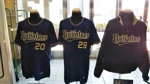 校外学習・パリーグ公式戦「プロ野球観戦」バファローズ vs ホークス2018-034