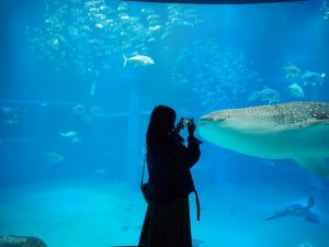 校外学習・大阪天保山・ハーバーランド「海遊館」海と河と森と動物2019-067