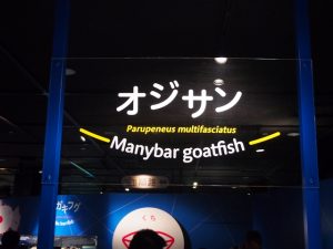 校外学習・大阪天保山・ハーバーランド「海遊館」海と河と森と動物2019-068