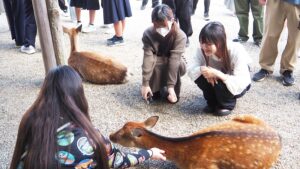 絵画展「エドワード・ゴーリーを巡る旅」うろんな客の絵本作家・奈良県立美術館・特別展2024-59