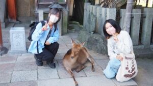 絵画展「エドワード・ゴーリーを巡る旅」うろんな客の絵本作家・奈良県立美術館・特別展2024-89
