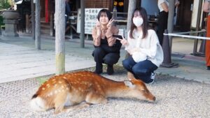 絵画展「エドワード・ゴーリーを巡る旅」うろんな客の絵本作家・奈良県立美術館・特別展2024-90