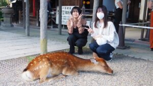絵画展「エドワード・ゴーリーを巡る旅」うろんな客の絵本作家・奈良県立美術館・特別展2024-97