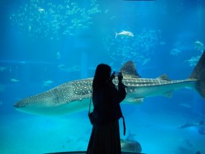 校外学習・大阪天保山・ハーバーランド「海遊館」海と河と森と動物2018-053