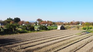 保健体育・体育実技「フットサル」2022-420
