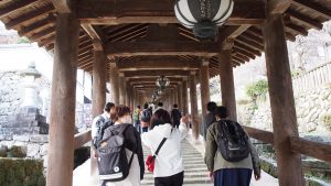 秋季校外学習「平安文学フィールドワーク」登廊・紅葉の長谷寺2020-33