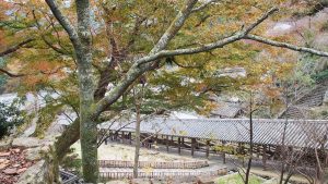 秋季校外学習「平安文学フィールドワーク」登籠季校外学習「平安文学フィールドワーク」登廊・紅葉の長谷寺2020-42