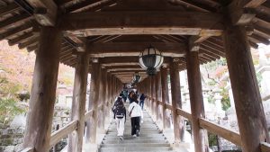 秋季校外学習「平安文学フィールドワーク」登廊・紅葉の長谷寺2020-45