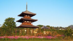 奈良斑鳩の里「世界遺産・国宝」法起寺2020-2