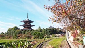奈良大和路斑鳩の里の法起寺・秋2021-2