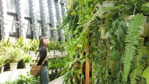 校外学習・奈良大和の自然と生物の博物館「橿原市昆虫館」2017-36
