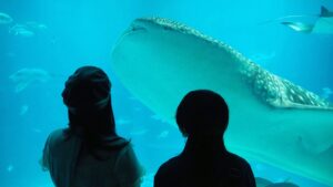 校外学習「海遊館・大阪湾ベイクルーズ」大阪天保山ハーバービレッジ2026-247