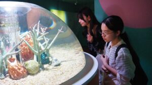 校外学習「海遊館・大阪湾ベイクルーズ」大阪天保山ハーバービレッジ2026-257