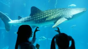 校外学習「海遊館・大阪湾ベイクルーズ」大阪天保山ハーバービレッジ2026-289