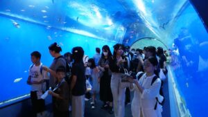 校外学習「海遊館・大阪湾ベイクルーズ」大阪天保山ハーバービレッジ2026-38