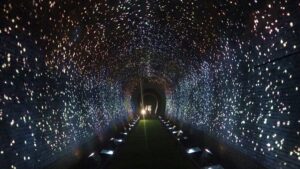 夏季校外学習「亀の瀬地すべり歴史資料室・インフラツーリズム」旧大阪鉄道亀瀬隧道・プロジェクションマッピング2024-345