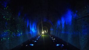 夏季校外学習「亀の瀬地すべり歴史資料室・インフラツーリズム」旧大阪鉄道亀瀬隧道・プロジェクションマッピング2024-370