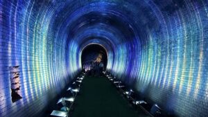 夏季校外学習「亀の瀬地すべり歴史資料室・インフラツーリズム」旧大阪鉄道亀瀬隧道・プロジェクションマッピング2024-414