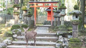 2021年度秋季校外学習「錦秋の奈良紀行」2021-159