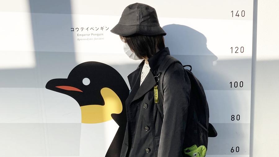 2022年度秋季校外学習「京都旅日記」風の谷のナウシカの世界・人と自然の共生・いのちあふれる京都水族館｜コウテイペンギン「バケツでごはん」を思い出しました