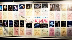 校外学習「秋の京都旅日記・京都水族館」2022-301