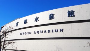校外学習「秋の京都旅日記・京都水族館」2022-119