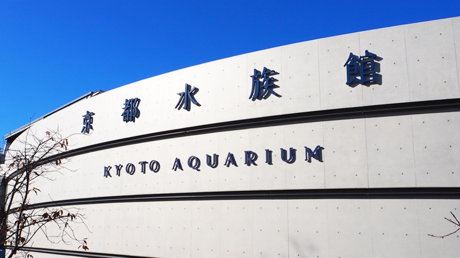2022年度秋季校外学習「京都旅日記」風の谷のナウシカの世界・人と自然の共生・いのちあふれる京都水族館｜都のオアシス・京都水族館に入場です