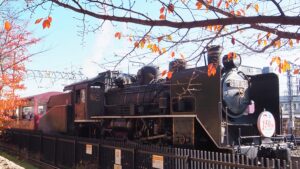 校外学習・秋の京都紀行「京都旅日記」京都鉄道博物館・C56蒸気機関車2022-180