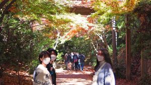 校外学習「秋の京都旅日記・梅小路公園のビオトープの森」2022-189