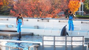 校外学習「秋の京都旅日記・京都水族館」2022-206