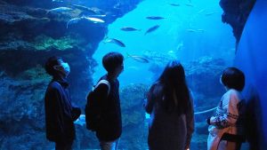 校外学習「近鉄特急でゆく！秋の京都旅日記」2022-236