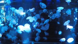 校外学習「秋の京都旅日記・京都水族館」2022-237