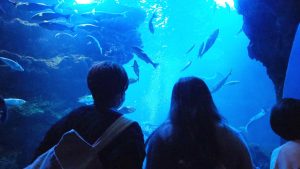 校外学習「近鉄特急でゆく！秋の京都旅日記」2022-239
