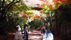 校外学習「秋の京都旅日記・梅小路公園のビオトープの森」2022-243