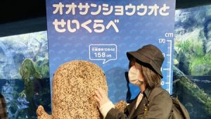 校外学習「秋の京都旅日記・京都水族館」2022-384