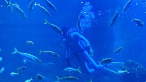 校外学習「秋の京都旅日記・京都水族館」2022-27