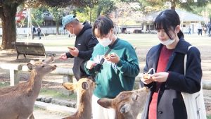 2021年度秋季校外学習「錦秋の奈良紀行」2021-119