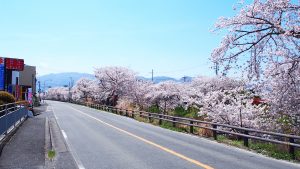 交通案内・アクセスマップ「奈良県道132号線」012