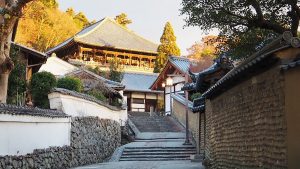 2021年度秋季校外学習「錦秋の奈良紀行」2021-476